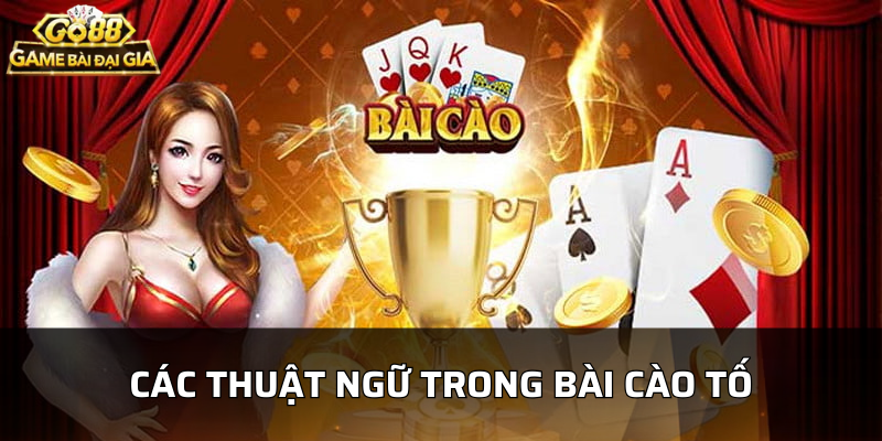 Một số thuật ngữ thông dụng nhất trong bài cào tố