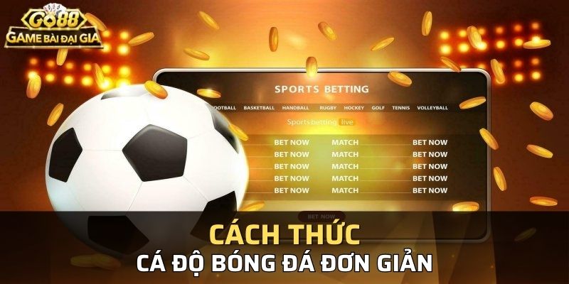 Hình thức cá độ bóng đá hấp dẫn nên được nhiều người yêu thích