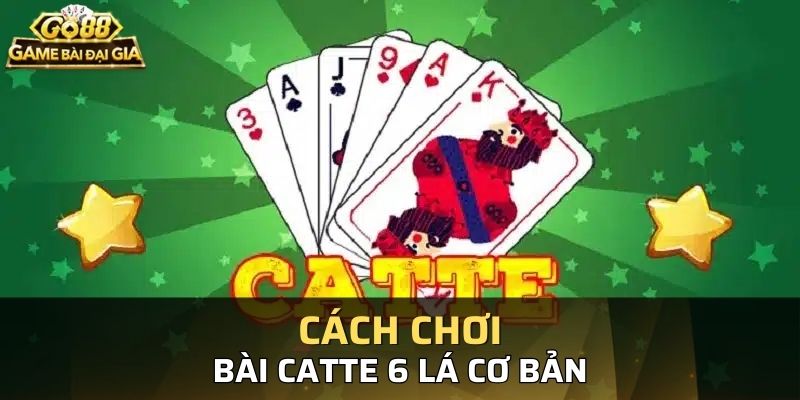 Các luật chơi bài catte 6 lá bạn cần biết 