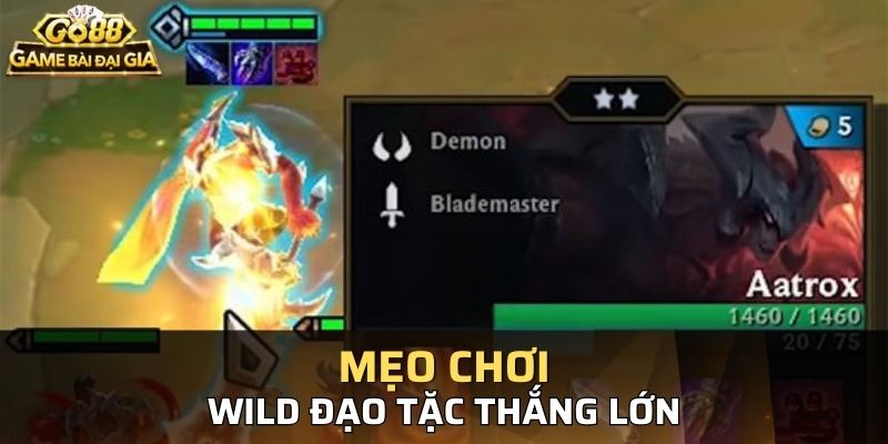 Những bí quyết quan trọng giúp bạn chinh phục Wild đạo tặc