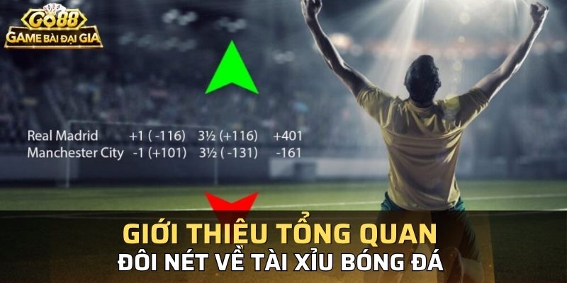 Giới thiệu tổng quan đôi nét về tài xỉu bóng đá 